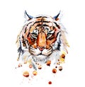 Adult tiger graphic icon, watercolor illustration