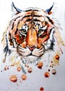 Adult tiger graphic, icon, watercolor illustration Royalty Free Stock Photo