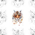 Adult tiger graphic , watercolor illustration