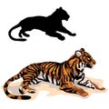 Adult tiger is realistic black color silhouette