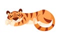 Adult Tiger with Striped Coat Sleeping and Cuddling Vector Illustration Royalty Free Stock Photo