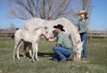 Cowboy couple petting white horses in grassy field