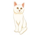 Adult white cat sitting realistic