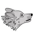 Adult wolf head face