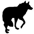 Adult wolf standing black silhouette