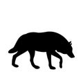 Adult wolf vector illustration black silhouette profile