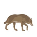 Adult wolf vector illustration flat style Royalty Free Stock Photo