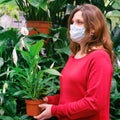 Adult woman with a face mask looks at a white spathiphyllum in a flower pot. Growing flowers and plants at home during corona Royalty Free Stock Photo