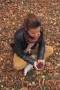 Adult woman gather wild chestnuts from autumn fall leaves