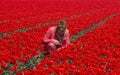 Adult woman in red tulip field Royalty Free Stock Photo