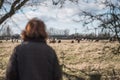 Adult woman seen looking at a herd of Alpacas seen in a meadow.