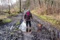 Adult woman walking with her brown dachshund dog on muddy path with puddles Royalty Free Stock Photo