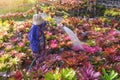 Adult woman watering different types of colorful bromeliad plants in backyard area