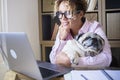 Adult woman work at laptop computer at home in office with her lovely best friend pug dog - concept of modern female people and Royalty Free Stock Photo