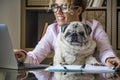 Adult woman work at laptop computer at home in office with her lovely best friend pug dog - concept of modern female people and Royalty Free Stock Photo