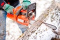 Adult worker cutting trees with chainsaw