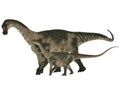 Adult and Young Antarctosaurus Royalty Free Stock Photo