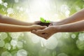 Adults Baby Hand tree environment Earth Day In the hands of trees growing seedlings. Bokeh green Background Female hand holding Royalty Free Stock Photo