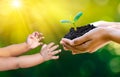 Adults Baby Hand tree environment Earth Day In the hands of trees growing seedlings. Bokeh green Background Female hand holding Royalty Free Stock Photo