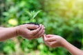 Adults Baby Hand tree environment Earth Day In the hands of trees growing seedlings. Bokeh green Background Female hand holding tr Royalty Free Stock Photo