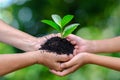 Adults Baby Hand tree environment Earth Day In the hands of trees growing seedlings. Bokeh green Background Female hand holding tr