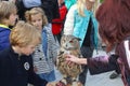 Adults and children are petting an eagle owl