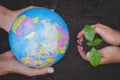 Adults holding a globe and child hand holding a small seedling, plant a tree, reduce global warming, World Environment Day Royalty Free Stock Photo