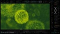 Closeup Scanning Anatomy of Airborne Virus