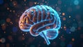 Advanced AI Neurology Scan - Brain Data Visualization - Medical Technology Royalty Free Stock Photo