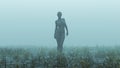 Advanced Black Shape Shifting Alien Being Formed From Small Spheres Walking in a Foggy Watery Void with Reeds and Grass background