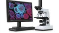 Advanced computer and microscope setup for analyzing biological samples in lab environment Royalty Free Stock Photo