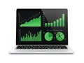 Advanced data analytics display on modern laptop screen Royalty Free Stock Photo