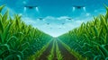 The advanced drones spraying crops in a lush green cornfield landscape Royalty Free Stock Photo