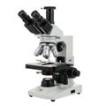 Advanced laboratory microscope with multiple eyepieces and illumination system Royalty Free Stock Photo