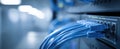 The advanced network system showcasing vibrant blue ethernet cables connected securely. AI generated image Royalty Free Stock Photo
