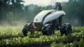 Advanced Robotic Agriculture in Action on a Farm. Generative ai