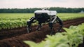 Advanced Robotic Agriculture in Action on a Farm. Generative ai