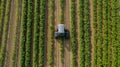 Advanced Robotic Device Navigating Between Crop Rows for Weeding Royalty Free Stock Photo