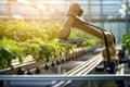 Advanced robotic technology for efficient cucumber harvesting in modern greenhouse farm