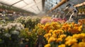 Advanced Robots in Greenhouse Surrounded by Yellow Flowers