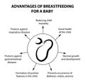 Advantages of breastfeeding for an infant. Infographics. Vector illustration on isolated background.