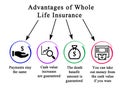 Whole Life Insurance