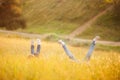 With the advent of children, the world is turned upside down, the feet of children look out of grass Royalty Free Stock Photo