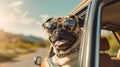 Adventure Awaits Pug Dog with Shades and Leash on Fun-Filled Summer Road Trip - Generative AI Royalty Free Stock Photo