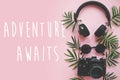 The Adventure Awaits text on stylish photo camera with green pal