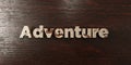 Adventure - grungy wooden headline on Maple - 3D rendered royalty free stock image