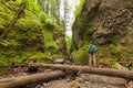 Adventure man hiking with backpack, walking in Oneonta Gorge, outdoor lifestyle