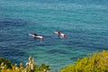 Adventure of paddling white and red kayaks in blue open water along coastline with vegetation.