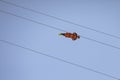 Adventure sport - zipline slide down Jebel Jais mountain