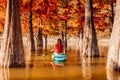 Adventure on stand up paddle board with woman at quiet river between Taxodium trees in autumnal season. SUP boarding on a quiet Royalty Free Stock Photo